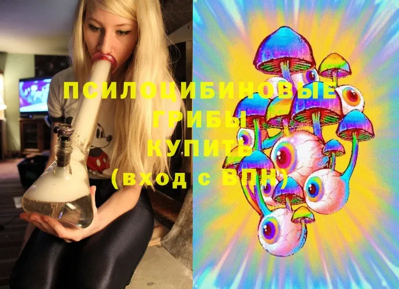 купить   ОМГ ОМГ ссылка  Псилоцибиновые грибы Psilocybe  Чишмы 